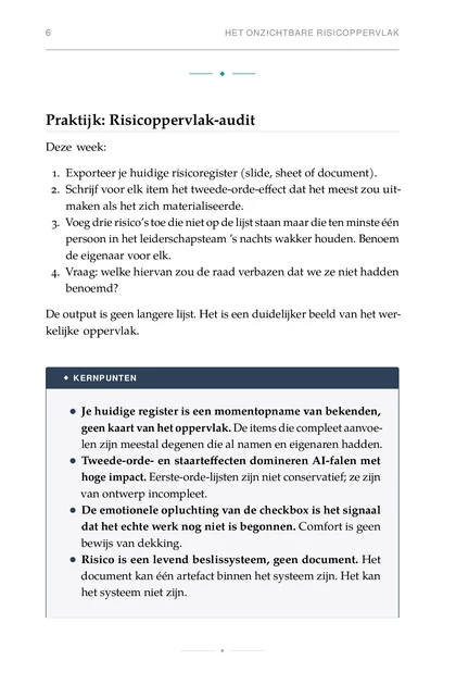 Het AI-Risicoregister, gedrukte pagina: Praktijk: Risicoppervlak-audit