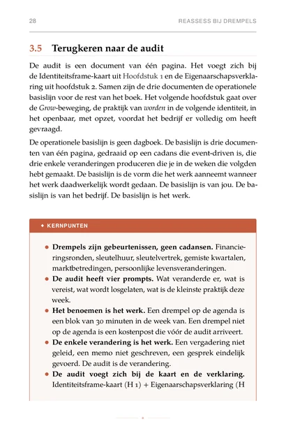 De Identiteitssmidse, gedrukte pagina: 3.5 Terugkeren naar de audit